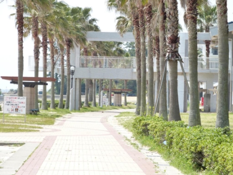 画像28